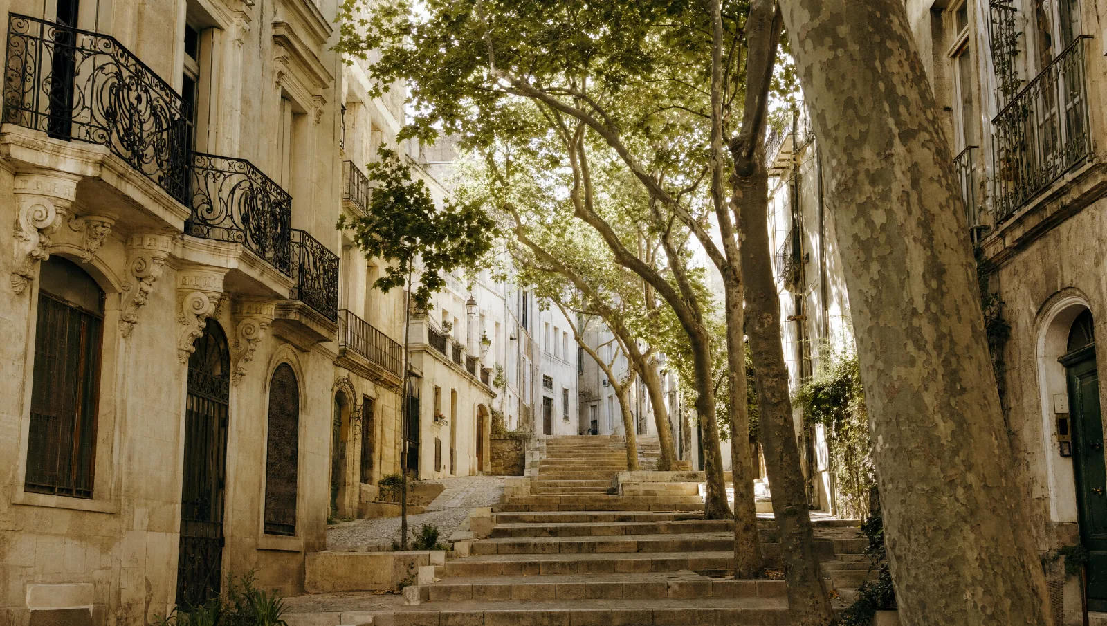 Rue du vieux Béziers, hautes maisons de pierre, balcons en fer forgé et platanes (illustration)