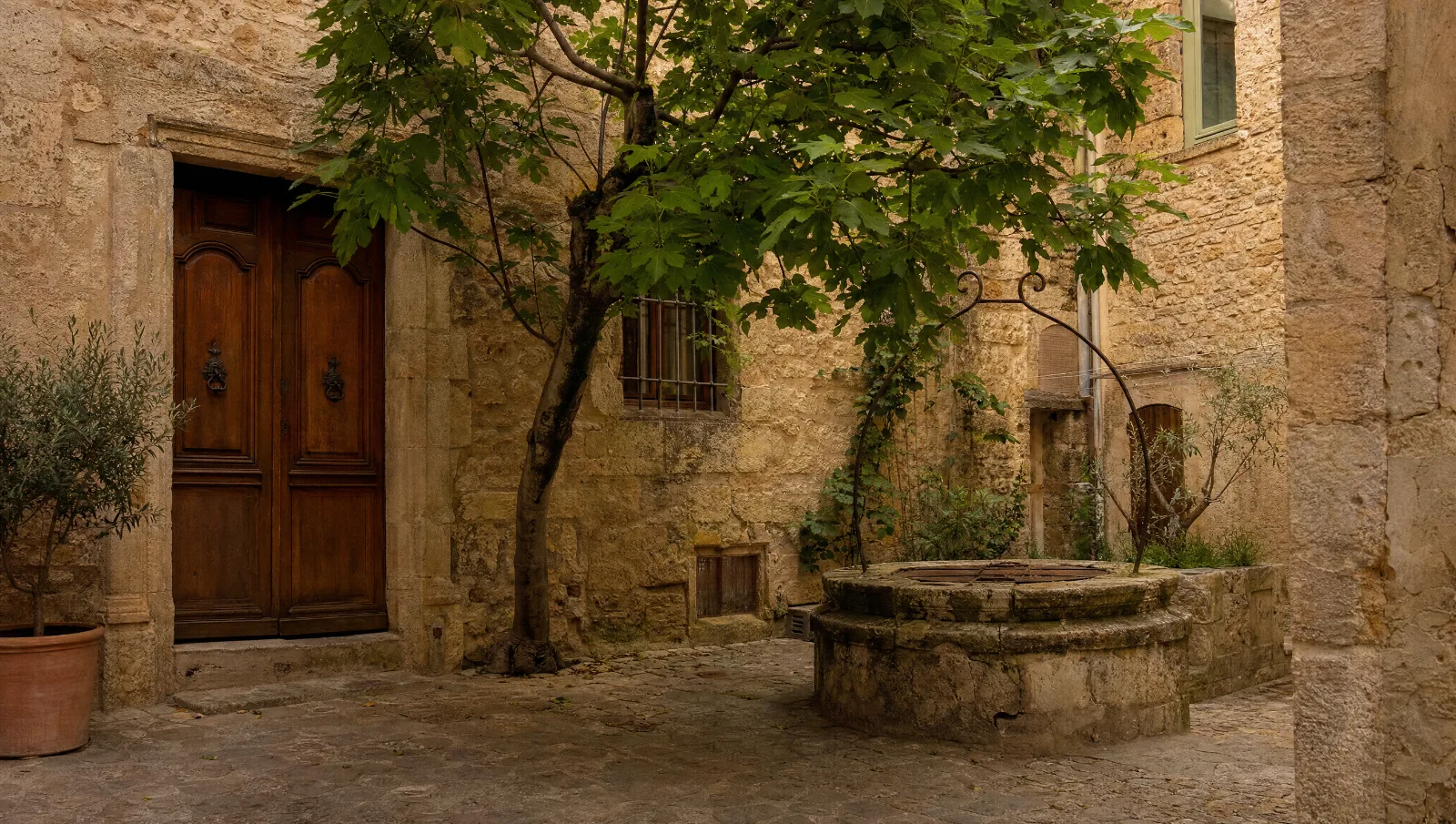 Cour de pierre dans la vieille ville de Pézenas, murs ocre, porte en bois et figuier (illustration)
